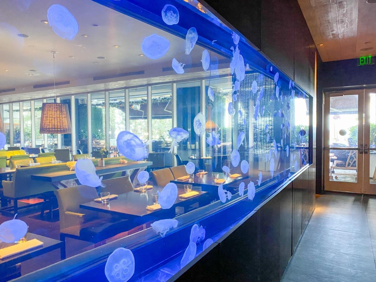 W Residences Fort Lauderdale Luxury Suites Across From Fort Lauderdale Beach ภายนอก รูปภาพ